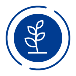big-Ba%CC%88ume_Pflanzen_Icon.png