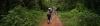 people-walking-through-rainforest.jpg