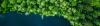 green landscape blue water bird perspective